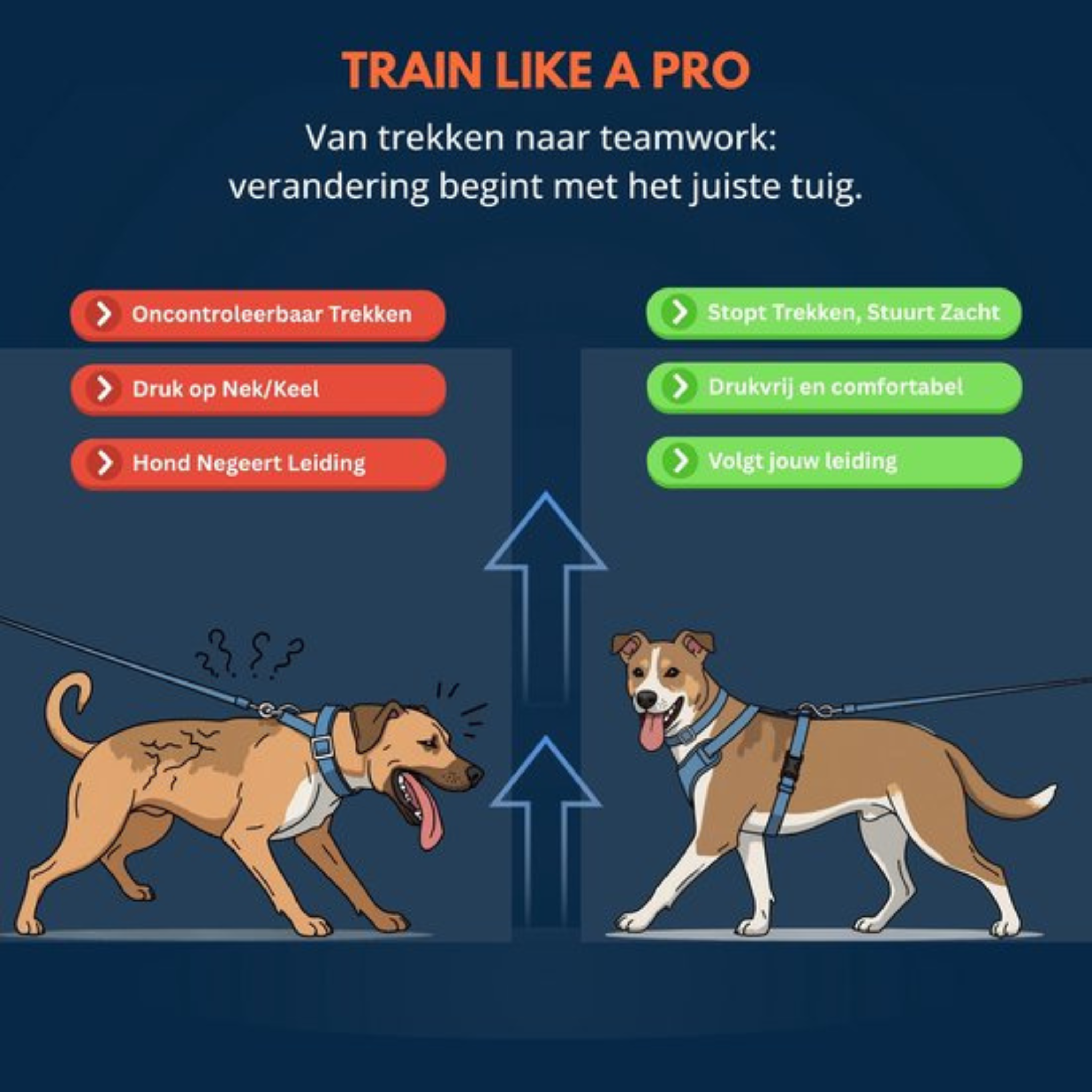 Wandelharnas Hond Anti-trek Van trekken naar teamwork