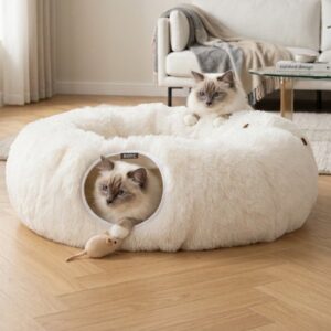Kattentunnel BOTC Creme