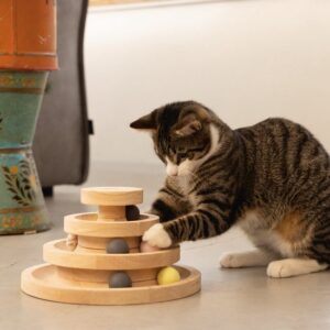 Speeltoren Mia Kat Designed by Lotte