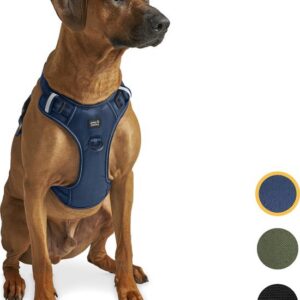 Wandelharnas Hond Jack and Jacky Maat L Kleur Blauw