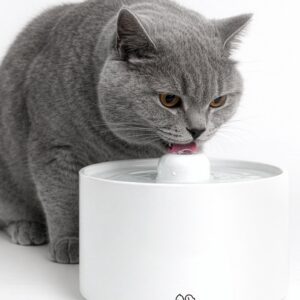 Keramische Drinkfontein Kat en Hond 2L