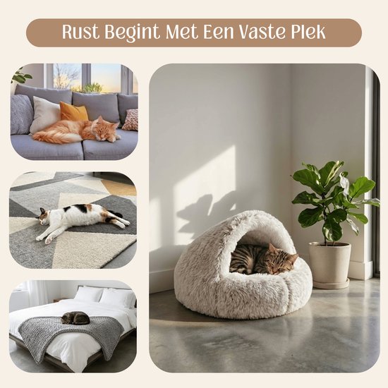 Kattenmand Vaste Plek